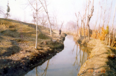 Outskirts of Gushi Village.